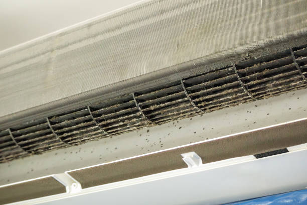 Best Ventilation Cleaning Services  in Babson Park, FL